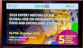 Whatsapp Image 2025 10 13 At 21.22.40 (1)